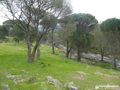 Puente Mocha entre Miradores y Riscos de Valdemaqueda;rutas senderismo costa da morte garganta del i